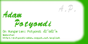 adam potyondi business card